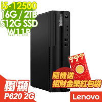 Lenovo ThinkCentre M70s (i5-12500/16G/2TB+512G SSD/P620 2G/W11P)