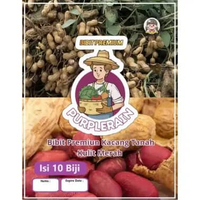 Bibit Premium Kacang Tanah Kulit Merah |Benih Kacang Tanah