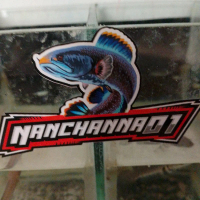 stiker ikan channa andrao murmer 4 5 6 cm