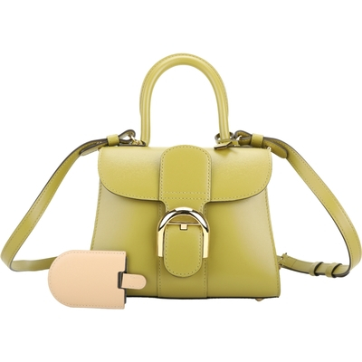 Mini delvaux bag new arrivals