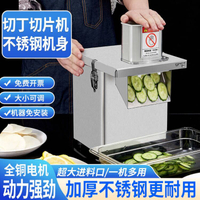 源啡商用不銹鋼切丁機多功能蘿卜土豆切絲切片機小型食堂切菜機