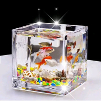 Aquarium Mini Kaca Minimalis / Akuarium Ikan Kecil Aesthetic