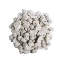【蔬菜之家】火山石白色蘭石約40~50公升原裝包--大粒8~12mm(透氣石 鋪面石 通氣保水)