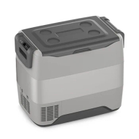 FETER 50L Portable Car Fridge Freezer Cooler Mini Auto Refrigerator 12V/24V 220V Dual Using Compressor With App Control