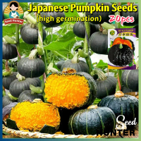 High Yield Fresh Japanese Pumpkin Seeds for Planting Vegetables Plants (Fast Growing 20 Seed) Sweet 