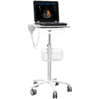 YYHC Cheap Laptop 3D Color Doppler System Ultrasound Machine For Veterinary Ultrasound Scanner For Animals