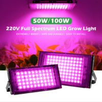 220V LED Grow Light 50W 100W Full Spectrum Phyto Lamp Greenhouse Hydroponic Plant Growth Lighting EU Plug Fitolamp for Seeding