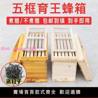 廣式1.1厚5框蜂箱全套一整套標準蜜蜂箱五框中蜂育王峰箱養蜂工具