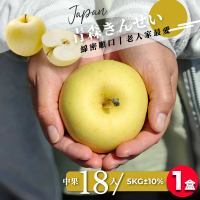 【果樹寶石】日本青森金星蘋果中果18顆x1盒（5KG±10%/盒）（270G±5%/顆）(綿密口感、適長者食用)