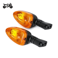 Motorcycle Turn Signal Light Compatible with BMW F650GS F800S K1300S R1200R G450X R1200GS K1200R F80