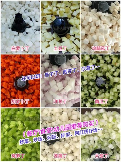 洋蔥切片機的價格推薦 2021年12月 比價比個夠biggo