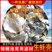 天然蠔殼貝殼裝飾砌墻工藝品魚龜過濾池濾材調節水質燒烤牡蠣殼