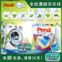 德國Persil-超濃縮3合1酵素洗衣凝膠球36顆/袋(洗衣膠囊/洗衣球家庭號大包裝)-速