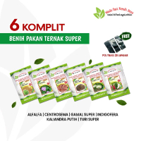 Benih indigofera 6 macam komplit pakan ternak - bibit pakan ternak Putih