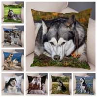 Siberian Husky Dog Pillow Case Covers Decor Pet Animal Cushion Cover for Sofa Home Super Soft Short Plush Pillowcase 45*45cm