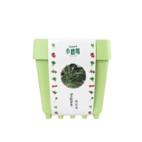 【蔬菜之家】iPlant小農場系列-冰花菜最新發明專利設計(可任意組合盆栽)