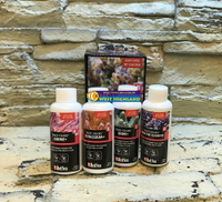 【西高地水族坊】 以色列Red Sea 紅海 珊瑚增色添加劑套組ABCD（100ml）