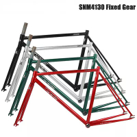 Fixed Gear Bicycle Frameset 700C * 52/55cm Racing Track Bike Fixie Frame