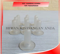 Dot kambing domba cempe pedet babi