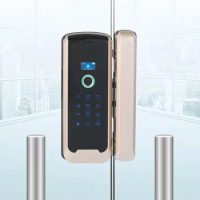 Smart Glass Door Biometric Fingerprint Lock RFID Card Code Remote Control Phone App Wifi Tuya Office Electric Lock Sliding Door