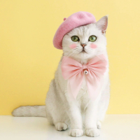 【PETA】粉紅色公主寵物羊毛帽(粉色羊毛貝雷帽/貓咪狗狗/貓犬通用/拍照造型)