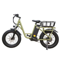 750W Adults Bicycle 20inch Fat Tire Electric Bike for Mountain Snow