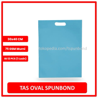 Tote Bag Spunbond Oval ukuran 30x40 Satuan - Warna Biru Muda