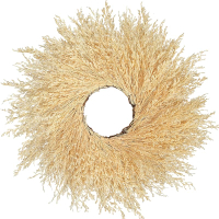 Natural Pampas Grass Wreath 14 Real Pampas Wreath for Front Door Boho Wall Decor Farmhouse Style DIY