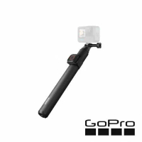 GoPro 快拆球型延長桿+遙控器 AGXTS-002 正成公司貨