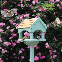 餵鳥器 英式鳥類喂鳥器 庭院戶外擺件置地布施室外花園園藝裝飾園林造景