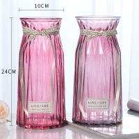 銀柳專用花瓶彩色歐式簡約透明大號水培富貴竹百合干花玻璃瓶擺件