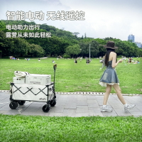 【台灣公司 可開發票】ALVU電動露營車戶外野營可折疊推車營地助力拖車野