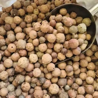 BUAH MANJAKANI 100gram / BUAH MANJAKANI BEN RAPAT