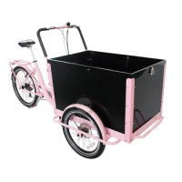 CE Standard Lithium Battery Tricycles Steel Frame Cargo Bike Pedal Assist 3 Wheel Bikes For Transport Kids
