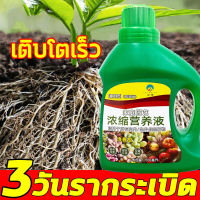 3 Days Rooting, Rooting Accelerator, Rooting Powder, Plant Rooting Powder 500g, Rich in Nutrients, S
