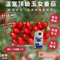 嘉義水上 頂級冠軍溫室牛奶玉女小番茄 (10盒原封箱/單盒600g+-10%)  ， 入口即化爆漿玉女小番茄 顆顆紅艷嬌嫩，皮薄甜美好多汁 帶有天然絨毛，新鮮健康有保證【緁迪水果JDFruit】台灣小