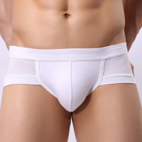 Men's Underwear Briefs U Convex Pouch Low Waist Underwear Briefs Factory One Piece