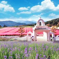 韓國玩得瘋 香草島樂園 抱川藝術谷 弘大商圈 5日 不走人蔘保肝