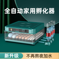 【台灣公司 可開發票】孵化器小型家用全自動智能孵化機鸚鵡雞鴨鵝鵪鶉孵蛋器迷你孵化箱