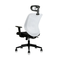 預購 Backbone Eagle 人體工學椅 老鷹起飛款-標準配置(Backbone Eagle人體工學椅)