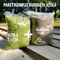 Azolla Dan Kohe Kambing Fermentasi Paket Hemat Budidaya Azola