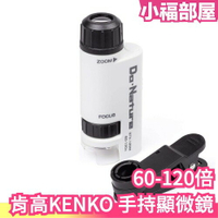 【附夾持器】日本 Kenko 肯高 LED手持式顯微鏡 STV-120M 60-120倍 微觀 微距 生物觀察【小福部屋】