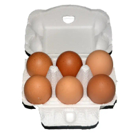 6-piece paper egg boxes, products molded from pulp, pulp packaging, egg trays, paper trays [50 piece