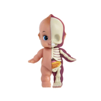 4D Master Baby Cupid Classic Half Skeleton Funny Anatomy Model Figurine Home Decoration Kids Halloween Gift Free Shipping