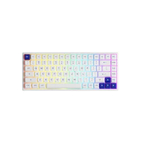 Akko 3084B Plus Blue on White Multi-modes Wired/Bluetooth 5.0/2.4G Wireless RGB Mechanical Keyboard with PBT Double-shot Keycaps