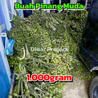 Buah pinang muda mentah asli - Buah Jambe muda 1kg - Herbal Original