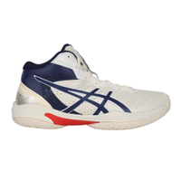 ASICS GELHOOP V16 S 男籃球鞋(免運 運動 訓練 亞瑟士「1063A102-100」≡排汗專家≡