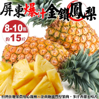 【果農直配】屏東爆汁金鑽鳳梨15斤(約8-10顆)