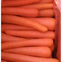 Wortel Brastagi Wortel Import Sayuran Wortel Segar 500 GR