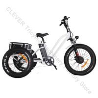 Three Wheel Heavy Loading Adult Tricycle 4.0 Inch Tire 48V 500W City Cargo Electric Tricycle For Old Elderly People